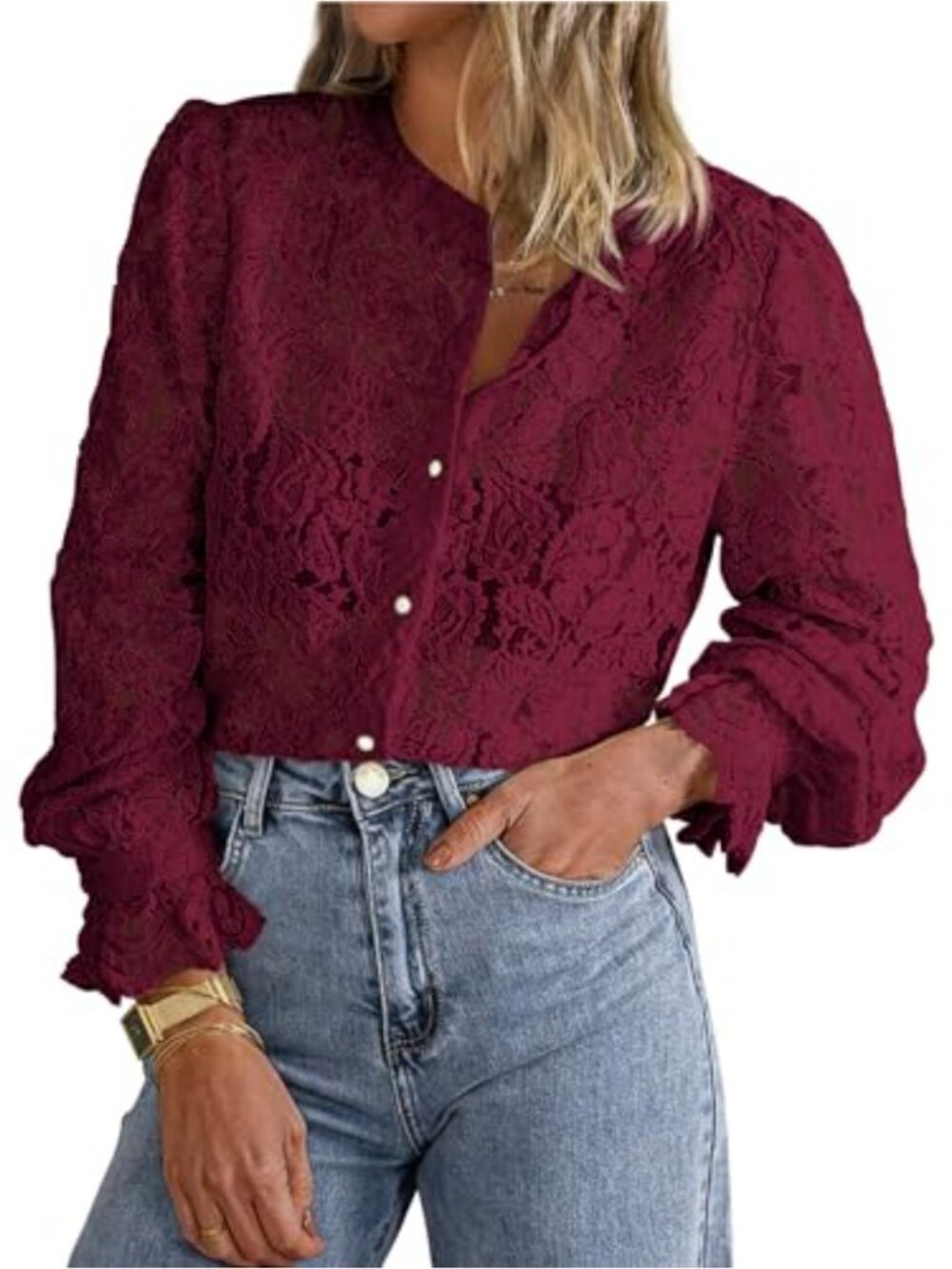 Women's Long Sleeve Lace Blouse, Sheer See Through, Button Down, Business Casual